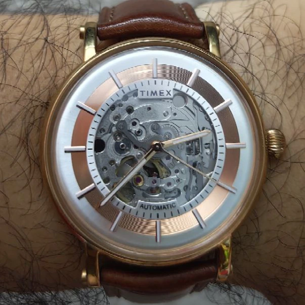 Timex Automatic Skeletal Watch